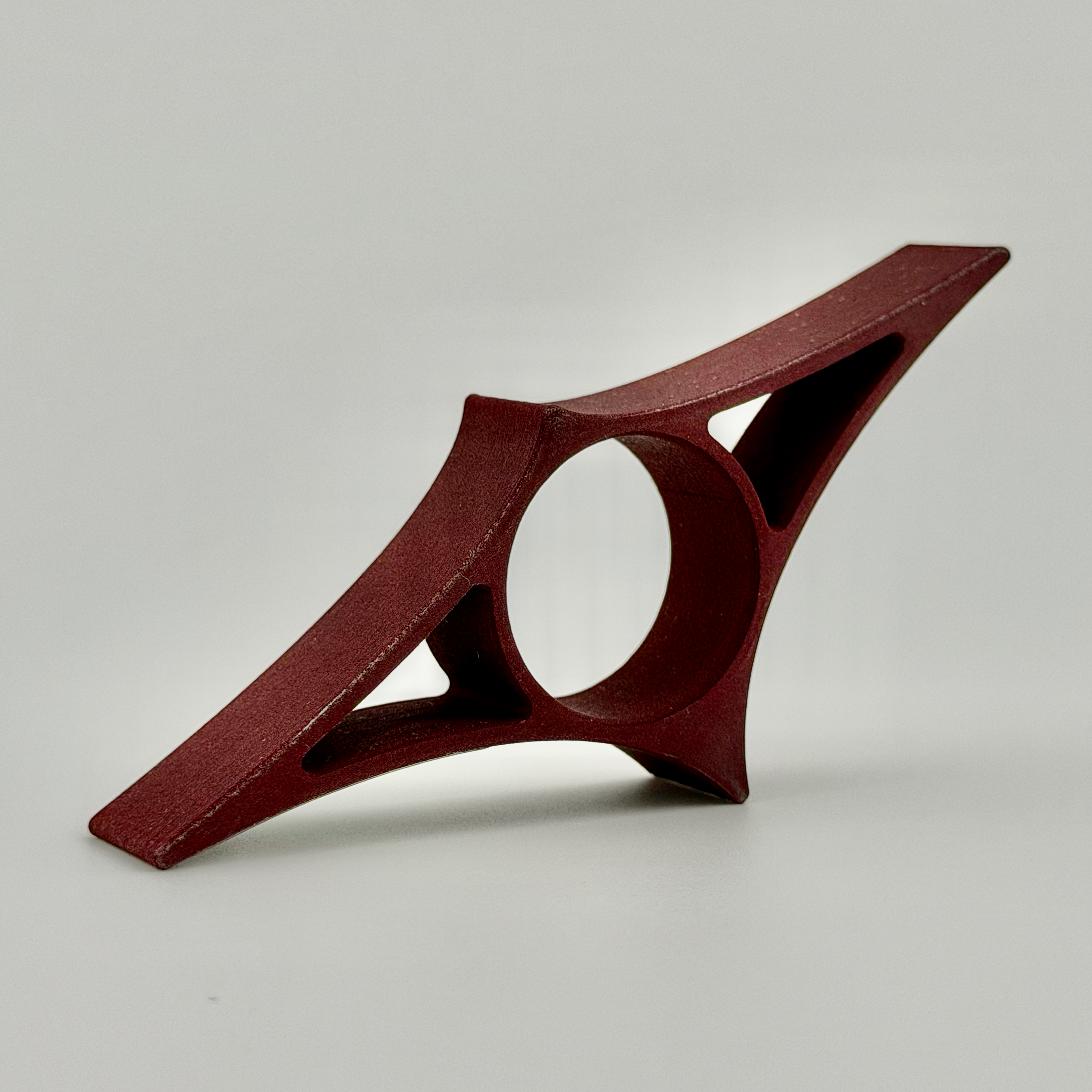 Reading Ray Burgundy Stainless Steel