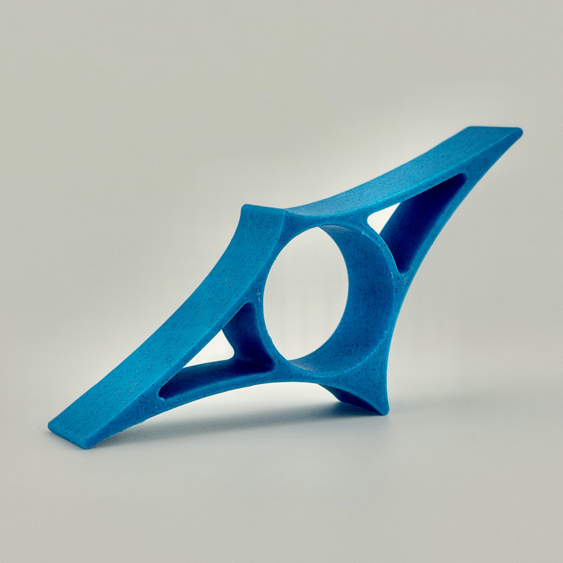 Reading Ray Blueberry Smoothie