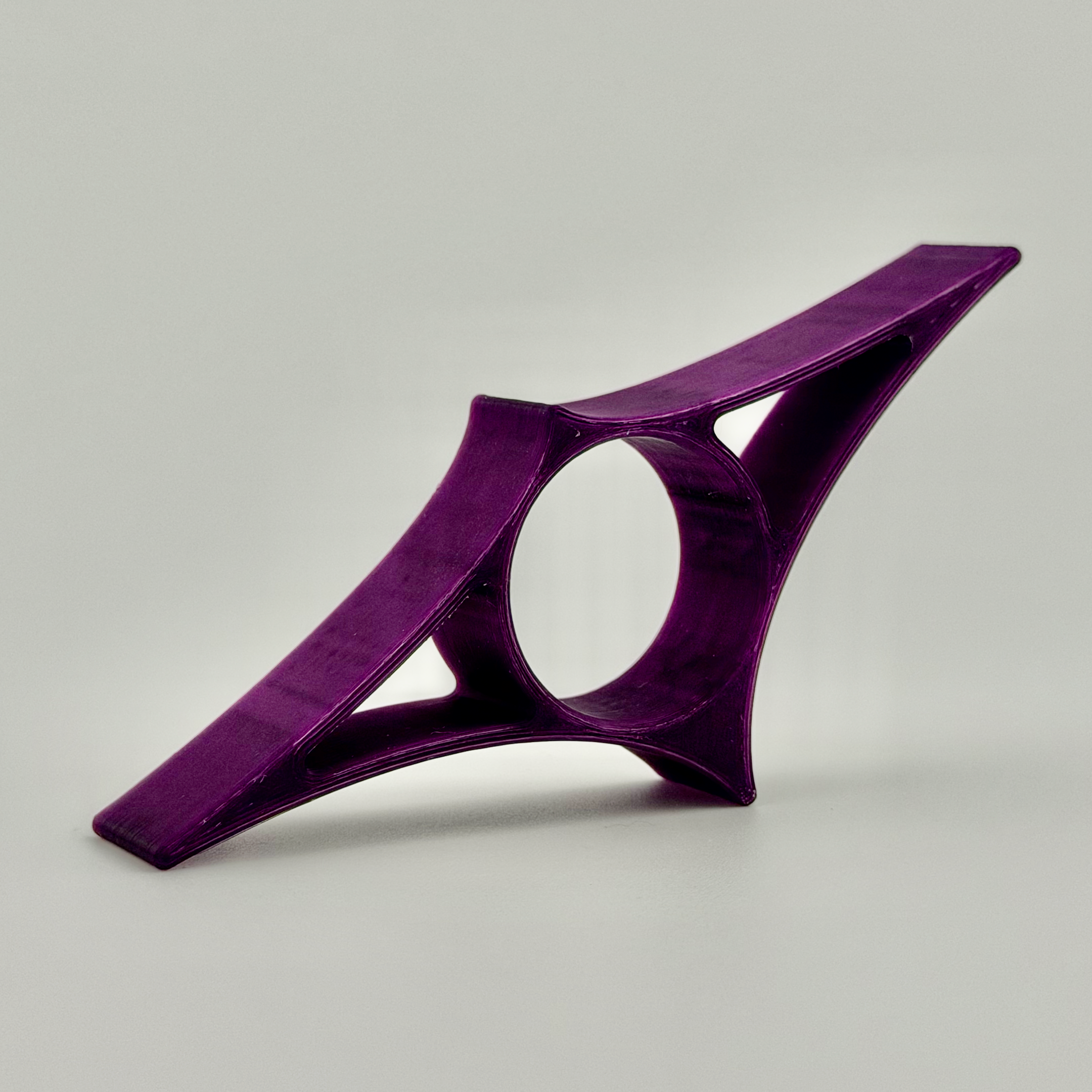 Reading Ray Purple Iris