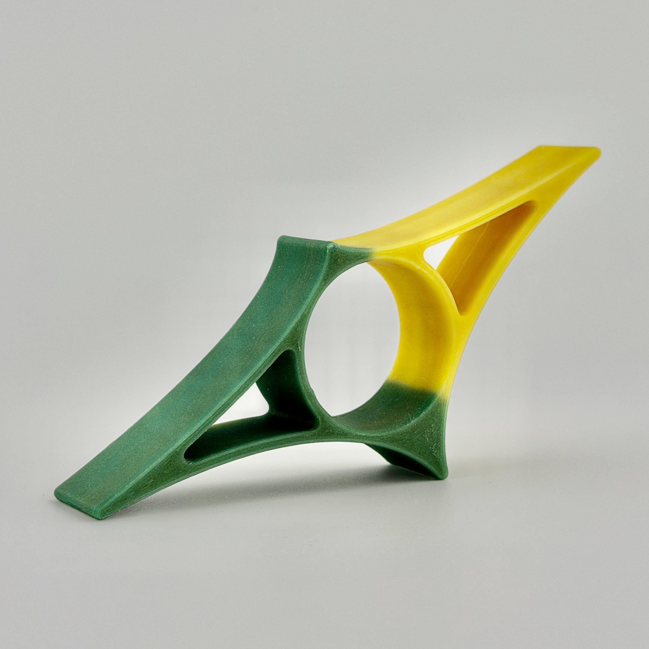 Reading Ray Chlorophylled