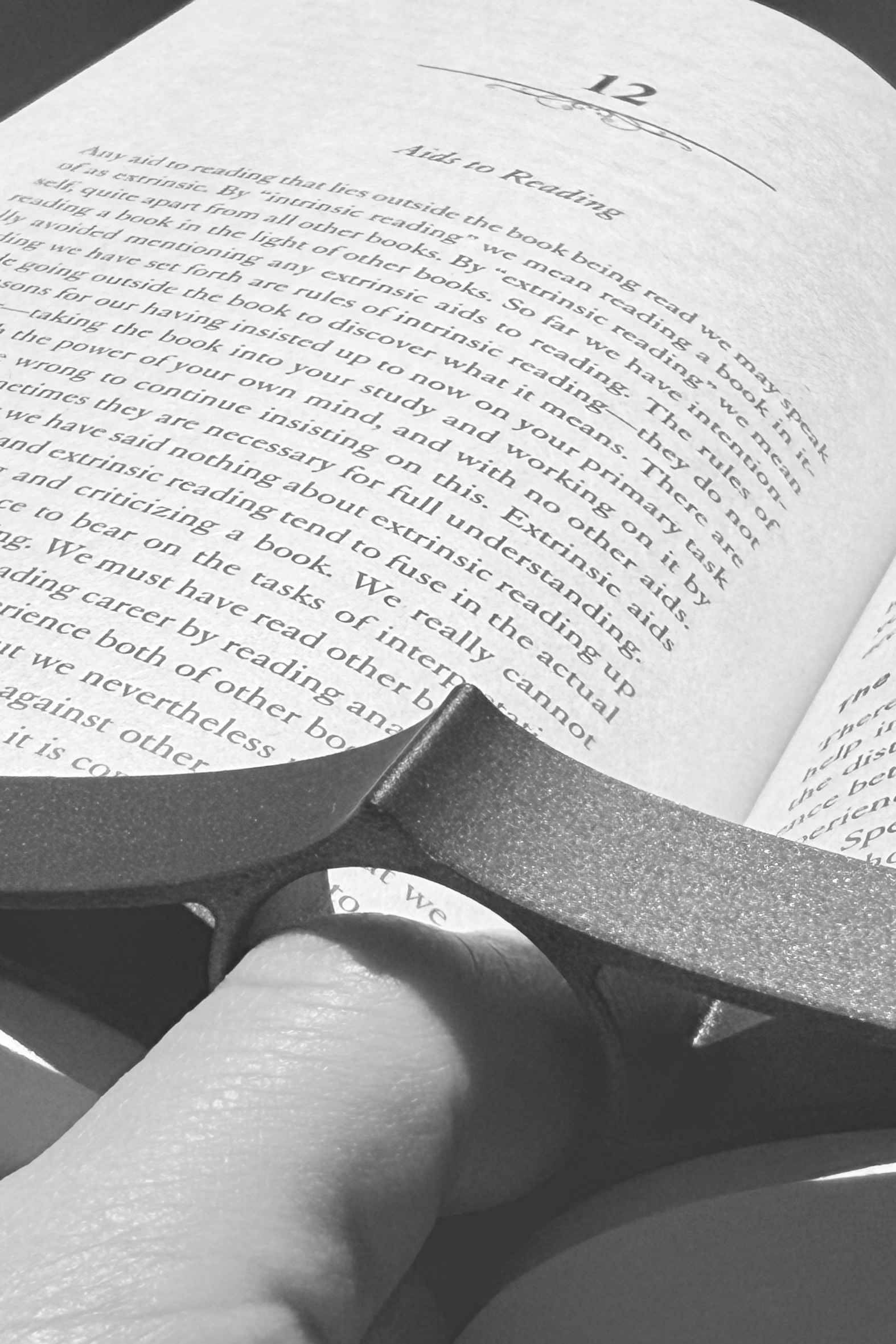 A Reading Ray holding open a book.