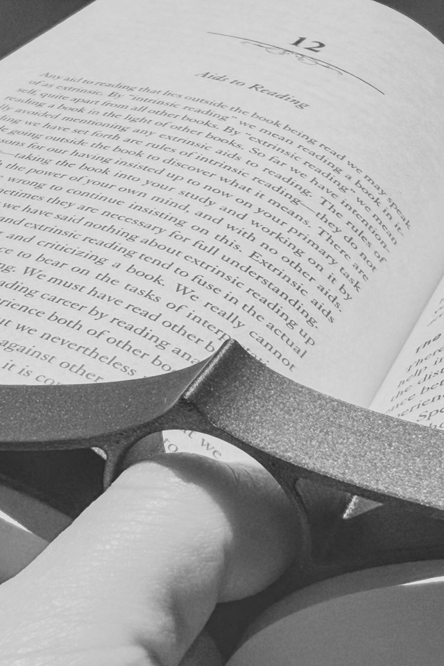 A Reading Ray holding open a book.